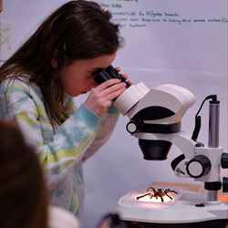 Discovery Planet CIC